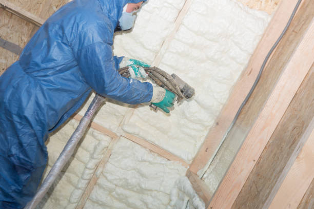 Weatherproofing Services in Buena Vista, MI